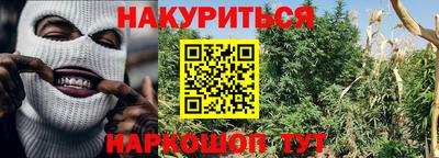 дживик Кунгур